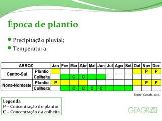 Precipitação pluvial;
Temperatura.
Época de plantio
Legenda
P – Concentração do plantio
C – Concentração da colheita
Fonte: Conab, 2016.
 