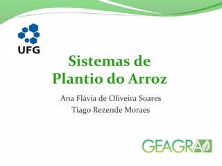 Ana Flávia de Oliveira Soares
Tiago Rezende Moraes
Sistemas de
Plantio do Arroz
 