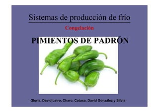 Sistemas de producción de frío
                     Congelación

PIMIENTOS DE PADRÓN




Gloria, David Leiro, Charo, Catuxa, David González y Silvia
 