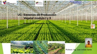 UC: Sistemas de Producción
Vegetal modulo I y II
Profesor. Ing. Juan Aníbal Ojeda
Trayecto II trimestres 4 y 5
 
