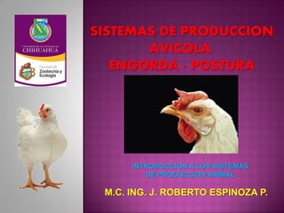 SISTEMAS DE PRODUCCION
AVICOLA
ENGORDA - POSTURA
M.C. ING. J. ROBERTO ESPINOZA P.
INTRODUCCION A LOS SISTEMAS
DE PRODUCCION ANIMAL
 