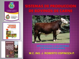 SISTEMAS DE PRODUCCION
DE BOVINOS DE CARNE
M.C. ING. J. ROBERTO ESPINOZA P.
INTRODUCCION A LOS SISTEMAS
DE PRODUCCION ANIMAL
 