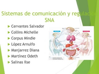 Sistemas de comunicación y regulación
SNA


Cervantes Salvador



Collins Michelle



Corpus Mindie



López Arnulfo



Manjarrez Diana



Martínez Odeth



Salinas Ilse

 