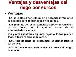 Ventajas y desventajas del riego por surcos Ventajas: - Es un sistema sencillo que no necesita inversiones de equipos para aplicar agua en la parcela. - Las plantas, por estar sembradas sobre el camellón, no se mojan, con lo que se evitan ciertas enfermedades, aunque… con plantas rastreras algunas hojas o frutos pueden llegar a tocar el terreno húmedo. - Este tipo de riego no interrumpe las demás labores del cultivo. - Con el trazado de curvas a nivel se reduce el peligro de erosión 
