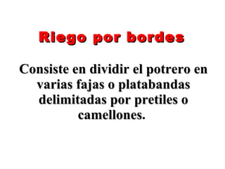 Riego por bordes   Consiste en dividir el potrero en varias fajas o platabandas delimitadas por pretiles o camellones .   