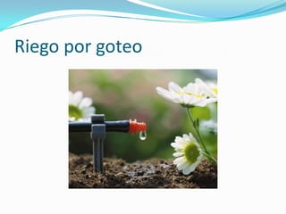 Riego por goteo