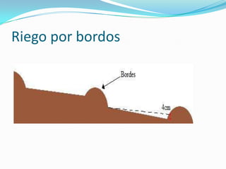 Riego por bordos