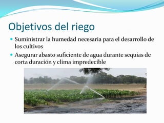 Objetivos del riego
Suministrar la humedad necesaria para el desarrollo de
los cultivos
Asegurar abasto suficiente de agua durante sequias de
corta duración y clima impredecible