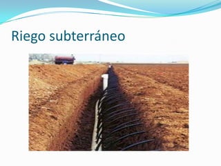 Riego subterráneo