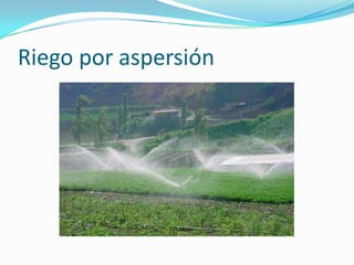 Riego por aspersión