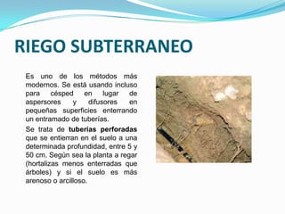 RIEGO SUBTERRANEO
 Es uno de los métodos más
 modernos. Se está usando incluso
 para césped        en lugar     de
 aspersores     y     difusores  en
 pequeñas superficies enterrando
 un entramado de tuberías.
 Se trata de tuberías perforadas
 que se entierran en el suelo a una
 determinada profundidad, entre 5 y
 50 cm. Según sea la planta a regar
 (hortalizas menos enterradas que
 árboles) y si el suelo es más
 arenoso o arcilloso.
 
