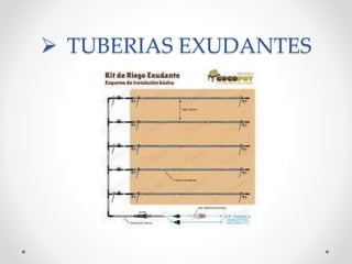  TUBERIAS EXUDANTES
 