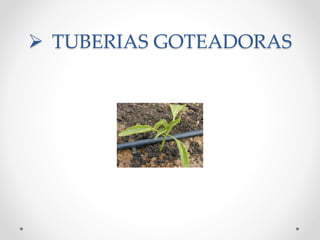  TUBERIAS GOTEADORAS
 