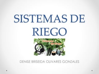 SISTEMAS DE
RIEGO
DENISE BRISEIDA OLIVARES GONZALES
 