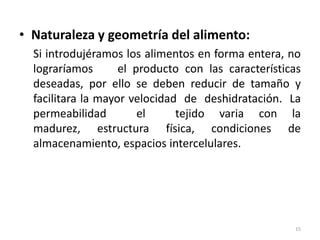 • Naturaleza y geometría del alimento:
Si introdujéramos los alimentos en forma entera, no
lograríamos el producto con las características
deseadas, por ello se deben reducir de tamaño y
facilitara la mayor velocidad de deshidratación. La
permeabilidad el tejido varia con la
madurez, estructura física, condiciones de
almacenamiento, espacios intercelulares.
15
 