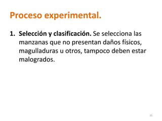 Proceso experimental.
1. Selección y clasificación. Se selecciona las
manzanas que no presentan daños físicos,
magulladuras u otros, tampoco deben estar
malogrados.
20
 