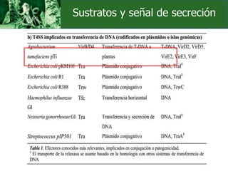 Sustratos y señal de secreción
 