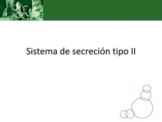 Sistema de secreción tipo II
 