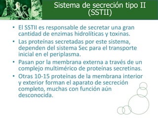 • El SSTII es responsable de secretar una gran
cantidad de enzimas hidrolíticas y toxinas.
• Las proteínas secretadas por este sistema,
dependen del sistema Sec para el transporte
inicial en el periplasma.
• Pasan por la membrana externa a través de un
complejo multimérico de proteínas secretinas.
• Otras 10-15 proteínas de la membrana interior
y exterior forman el aparato de secreción
completo, muchas con función aún
desconocida.
Sistema de secreción tipo II
(SSTII)
 