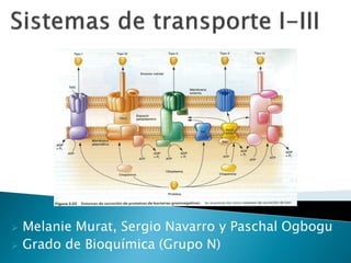 Melanie Murat, Sergio Navarro y Paschal Ogbogu
 Grado de Bioquímica (Grupo N)


 