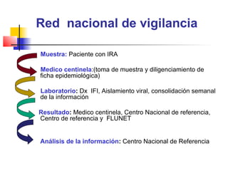 Red nacional de vigilancia

Muestra: Paciente con IRA

Medico centinela:(toma de muestra y diligenciamiento de
ficha epidemiológica)

Laboratorio: Dx IFI, Aislamiento viral, consolidación semanal
de la información

Resultado: Medico centinela, Centro Nacional de referencia,
Centro de referencia y FLUNET


Análisis de la información: Centro Nacional de Referencia
 