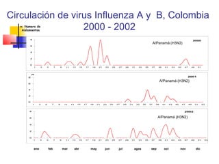 Circulación de virus Influenza A y B, Colombia
   n: Numero de
    Aislamientos  2000 - 2002
         8
                                                                                                                                                                            2000
                                                                                                                                       A/Panamá (H3N2)
         6


         4


         2


         0
             1     3   5         7       9     11    13        15    17    19    21    23     25    27     29    31    33    35    37    39    41     43    45    47    49    51



            n
        8                                                                                                                                                              2001

                                                                                                                                             A/Panamá (H3N2)
        6


        4


        2


        0
             1   3     5     7       9        11    13    15        17    19    21    23     25    27     29    31    33    35    37    39    41     43    45    47    49    51    53



        8                                                                                                                                                         2002

        6                                                                                                                                A/Panamá (H3N2)
        4


        2


        0
             1     3   5         7   9        11    13     15        17    19    21    23     25    27     29    31    33    35    37    39    41     43    45    47    49    51    53




             ene           feb               mar         abr              may          jun          jul              agos          sep         oct              nov          dic
 