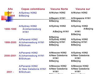 Año        Cepas colombiana        Vacuna Norte          Vacuna sur
 1997 -     A/Sydney H3N2           A/Wuhan H3N2        A/Wuhan H3N2
   1998     B/Beijing
                                    A/Bayern H1N1       A/Singapore H1N1
                                    B/Beijing           B/Beijing

            A/Sydney H3N2           A/Sydney H3N2       A/Sydney H3N2
1998-1999      A/Johannesburg                                     A/Beijing
               H1N1                    A/Beijing H1N1      H1N1
                                                        B/Beijing
                                    B/Beijing
            A/Panamá H3N2           A/Sydney H3N2       A/Sydney H3N2
1999-2000   A/Johannesburg H1N1     A/Beijing H1N1      A/Beijing H1N1
            B/Sichuan               B/Beijing           B/Beijing


            A/Panamá H3N2           A/Moscow H3N2       A/Sydney H3N2
2000-2001   A/Johannesburg H1N1     A/New Caledonia     A/New Caledonia
            B/Sichuan                  H1N1                H1N1
                                    B/Beijing           B/Beijing

            A/Panamá H3N2           A/Moscow H3N2       A/Moscow H3N2
            A/ New Caledonia H1N1   A/New Caledonia     A/New Caledonia
 2001 -     B/Sichuan                  H1N1                H1N1
 