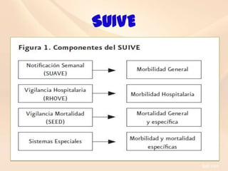 SUIVE
 