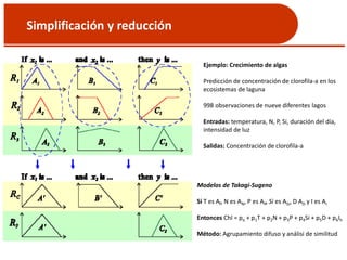 Simplificación y reducción
Ejemplo: Crecimiento de algas
Predicción de concentración de clorofila-a en los
ecosistemas de laguna
998 observaciones de nueve diferentes lagos
Entradas: temperatura, N, P, Si, duración del día,
intensidad de luz
Salidas: Concentración de clorofila-a
Modelos de Takagi-Sugeno
Si T es AT, N es AN, P es AP, Si es ASi, D AD y I es AI
Entonces Chl = po + p1T + p2N + p3P + p4Si + p5D + p6Ih
Método: Agrupamiento difuso y análisi de similitud
 