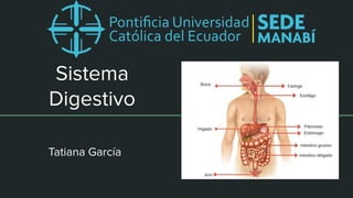 Sistema
Digestivo
Tatiana García
 