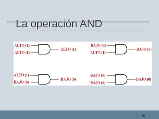La operación AND
19
 