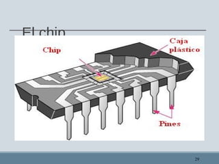 El chip
29
 