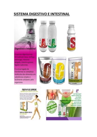 SISTEMA DIGESTIVO E INTESTINAL
 