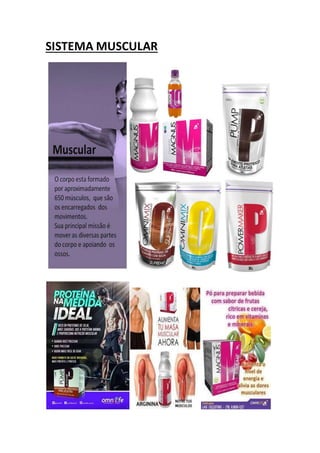 SISTEMA MUSCULAR
 