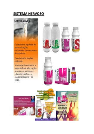 SISTEMA NERVOSO
 