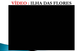 VÍDEO : ILHA DAS FLORES
 