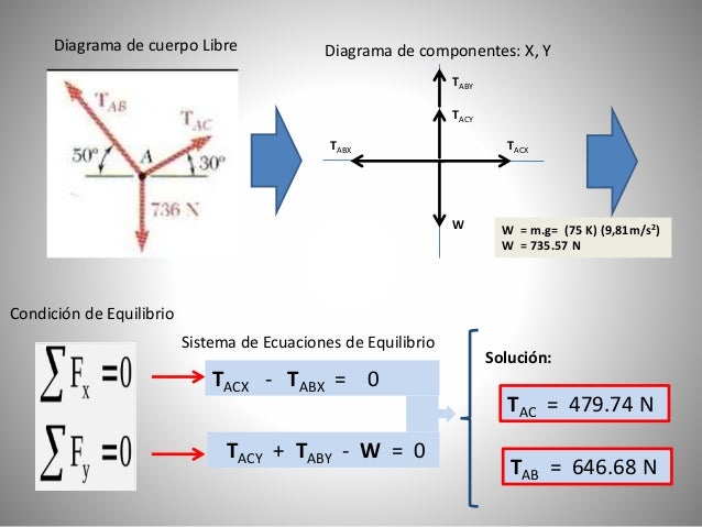 Ejemplos de Fuerzas en Sistemas en Equilibrio (UVM-2016)