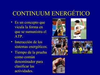 CONTINUUM ENERGÉTICO
• Es un concepto que
vicula la forma en
que se sumunistra el
ATP.
• Interacción de los
sistemas energéticos.
• Tiempo de la prueba
como común
denominador para
clasificar las
actividades.
 