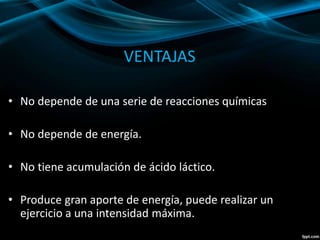 VENTAJAS 
• No depende de una serie de reacciones químicas 
• No depende de energía. 
• No tiene acumulación de ácido láctico. 
• Produce gran aporte de energía, puede realizar un 
ejercicio a una intensidad máxima. 
 