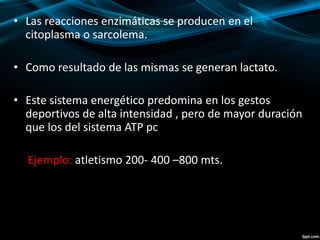 • Las reacciones enzimáticas se producen en el 
citoplasma o sarcolema. 
• Como resultado de las mismas se generan lactato. 
• Este sistema energético predomina en los gestos 
deportivos de alta intensidad , pero de mayor duración 
que los del sistema ATP pc 
Ejemplo: atletismo 200- 400 –800 mts. 
 