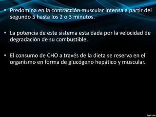 • Predomina en la contracción muscular intensa a partir del 
segundo 5 hasta los 2 o 3 minutos. 
• La potencia de este sistema esta dada por la velocidad de 
degradación de su combustible. 
• El consumo de CHO a través de la dieta se reserva en el 
organismo en forma de glucógeno hepático y muscular. 
 