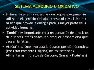 SISTEMA AERÓBICO U OXIDATIVO 
• Sistema de energía muscular que requiere oxigeno. Se 
utiliza en el ejercicio de baja intensidad y es el sistema 
básico que provee la energía para la mayor parte de la 
actividad humana. 
• También es importante en la recuperación de ejercicios 
de distintas intensidades. No produce desperdicios que 
causen la fatiga. 
• Vía Química Que Involucra la Descomposición Completa 
(Por Estar Presente Oxígeno) de las Sustancias 
Alimentarías (Hidratos de Carbono, Grasas y Proteínas) 
 