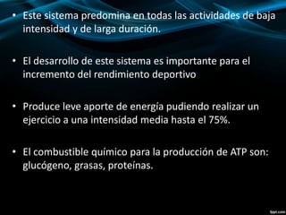 • Este sistema predomina en todas las actividades de baja 
intensidad y de larga duración. 
• El desarrollo de este sistema es importante para el 
incremento del rendimiento deportivo 
• Produce leve aporte de energía pudiendo realizar un 
ejercicio a una intensidad media hasta el 75%. 
• El combustible químico para la producción de ATP son: 
glucógeno, grasas, proteínas. 
 