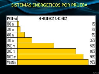 SISTEMAS ENERGETICOS POR PRUEBA 
 