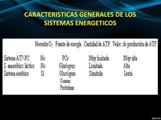 CARACTERISTICAS GENERALES DE LOS 
SISTEMAS ENERGETICOS 
 