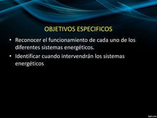 OBJETIVOS ESPECIFICOS 
• Reconocer el funcionamiento de cada uno de los 
diferentes sistemas energéticos. 
• Identificar cuando intervendrán los sistemas 
energéticos 
 