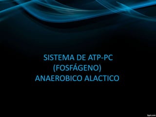 SISTEMA DE ATP-PC 
(FOSFÁGENO) 
ANAEROBICO ALACTICO 
 