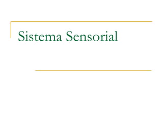 Sistema Sensorial
 