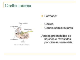 Orelha interna

                    Formado:

                 -   Cóclea
                 -   Canais semicirculares

                 Ambos preenchidos de
                  líquidos e revestidos
                  por células sensoriais.
 