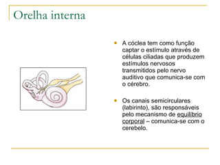 Orelha interna
                    A cóclea tem como função
                     captar o estímulo através de
                     células ciliadas que produzem
                     estímulos nervosos
                     transmitidos pelo nervo
                     auditivo que comunica-se com
                     o cérebro.

                    Os canais semicirculares
                     (labirinto), são responsáveis
                     pelo mecanismo de equilíbrio
                     corporal – comunica-se com o
                     cerebelo.
 